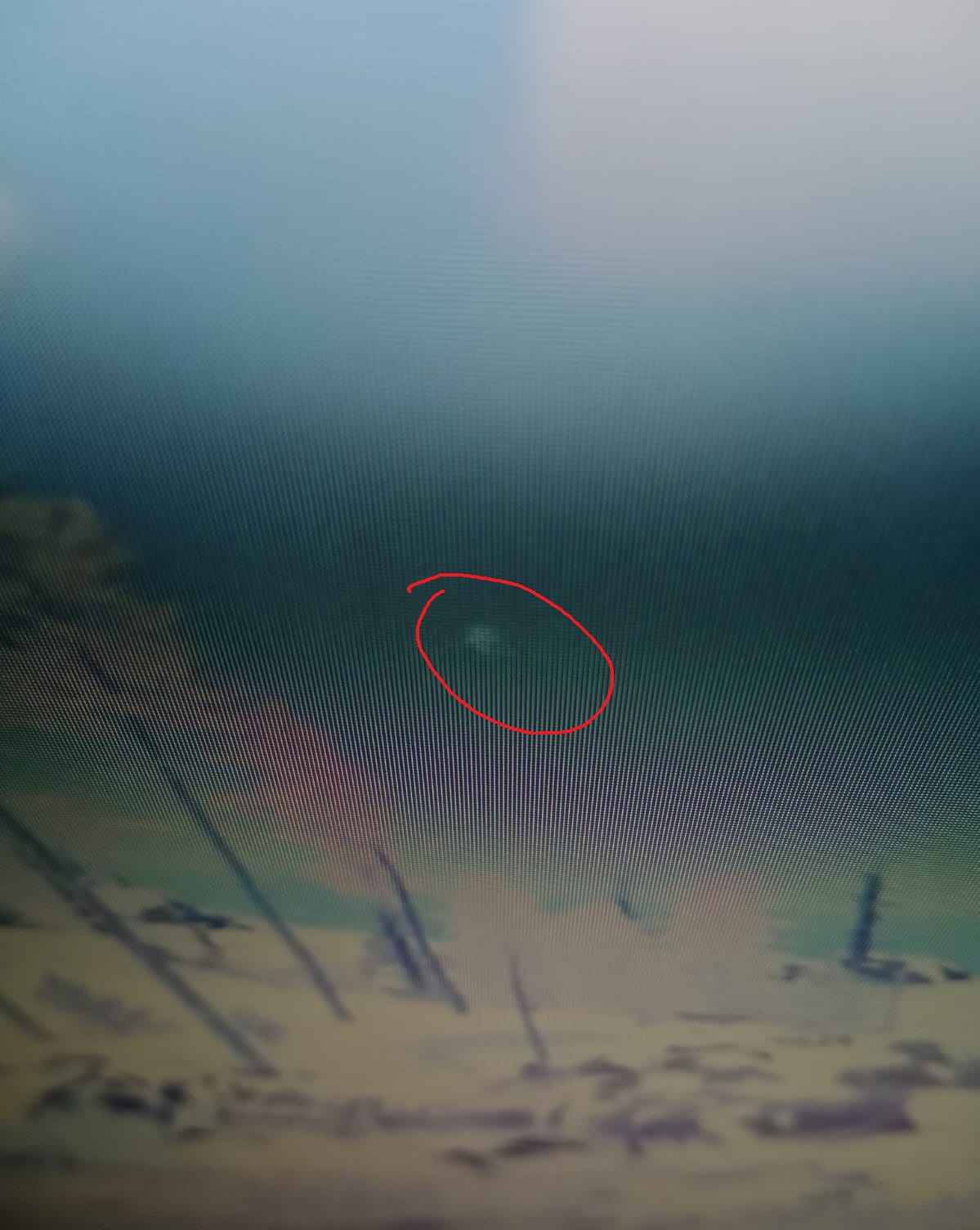 Mickey: Is black mark on monitor dead pixel? [​IMG]