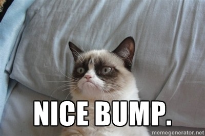 400x400_1380136846172-bump-grumpy-cat.jpg