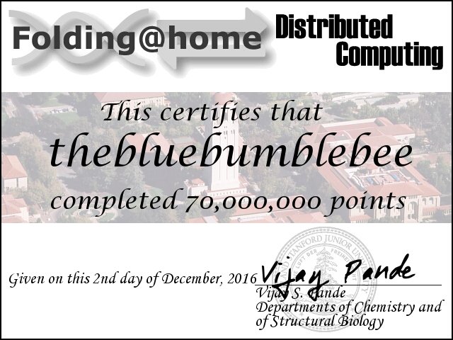 cert.thebluebumblebee.70530508.jpg