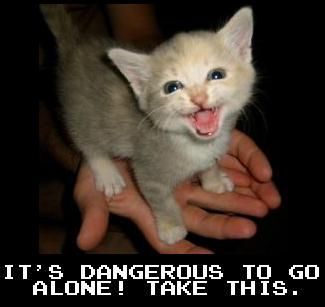Danger_Kitten_Meme.jpg