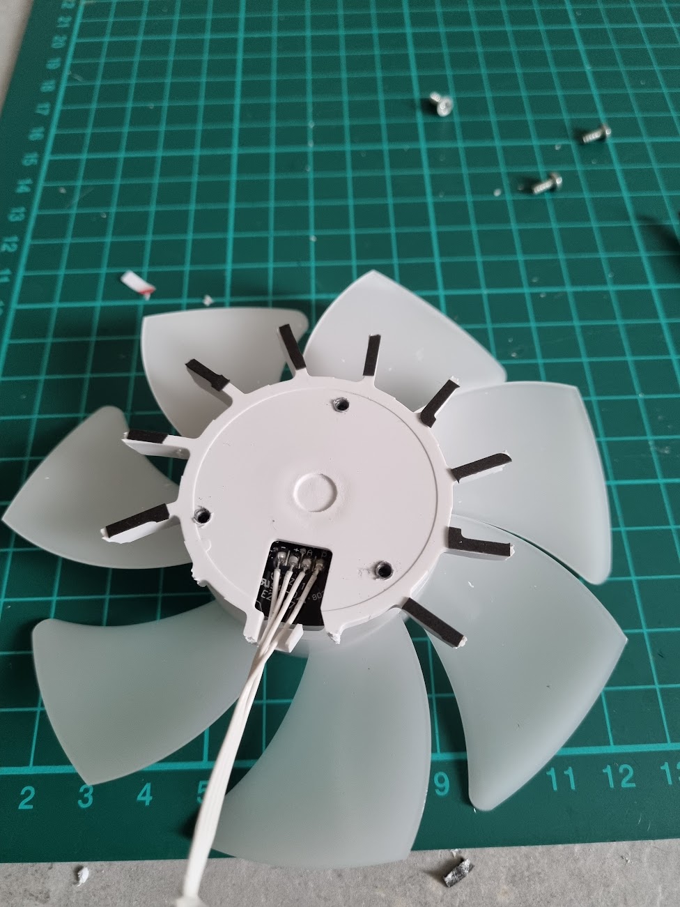 fan foam.jpg