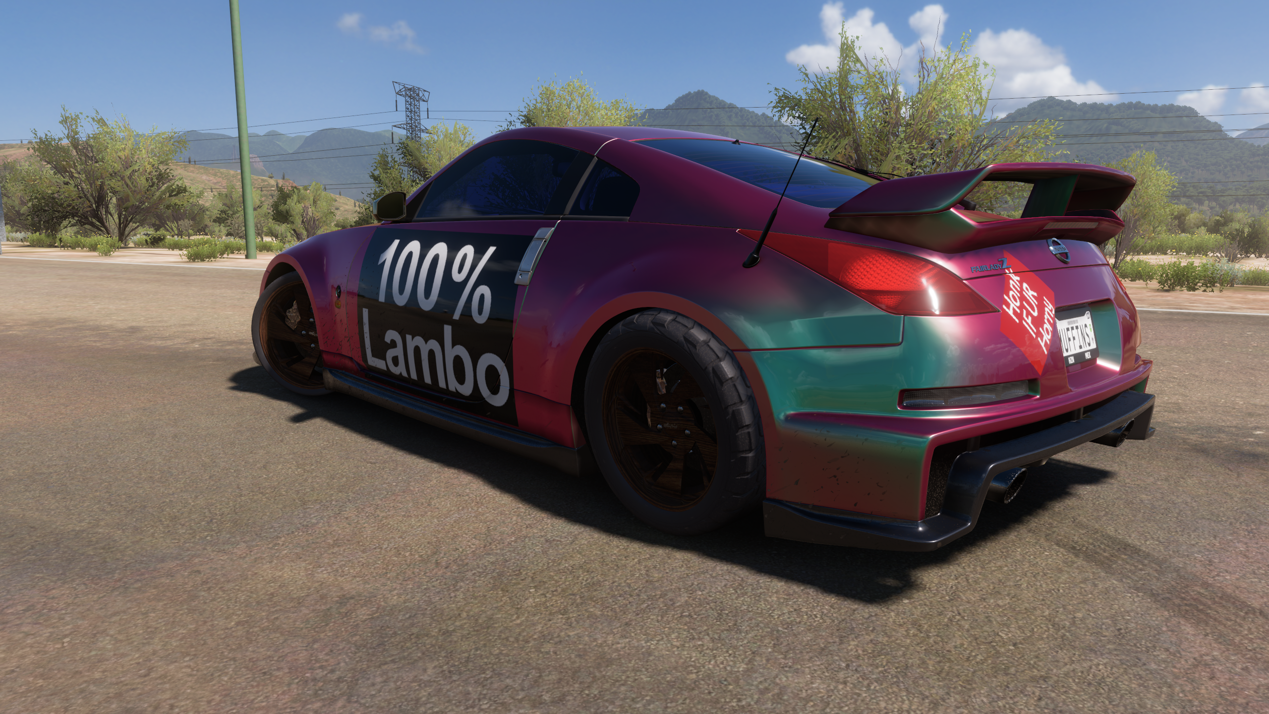 ForzaHorizon5_2022.07.15-03.25_1.png