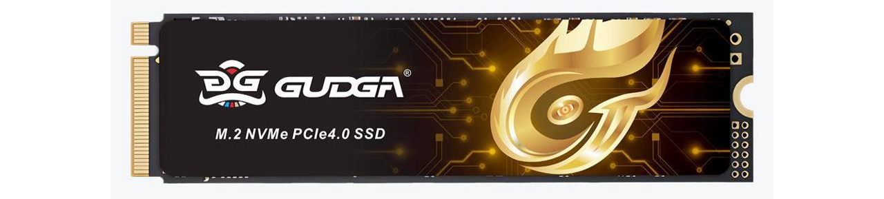 grudga ssd.png