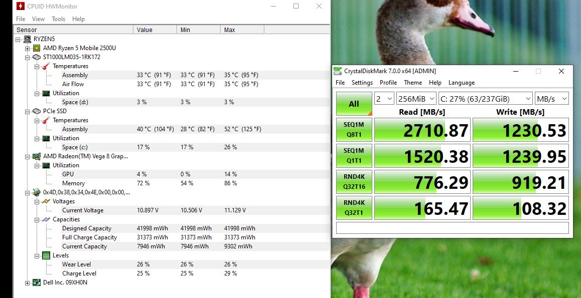 Inland_256NVMe_Dell_Ryzen_08222020.JPG