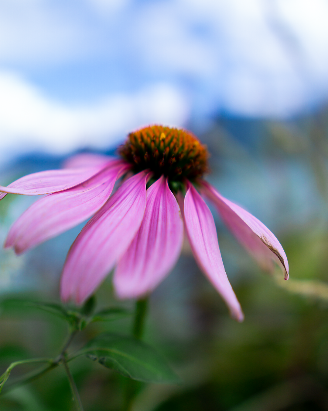 lugano_27-09-20_06-1350px.png