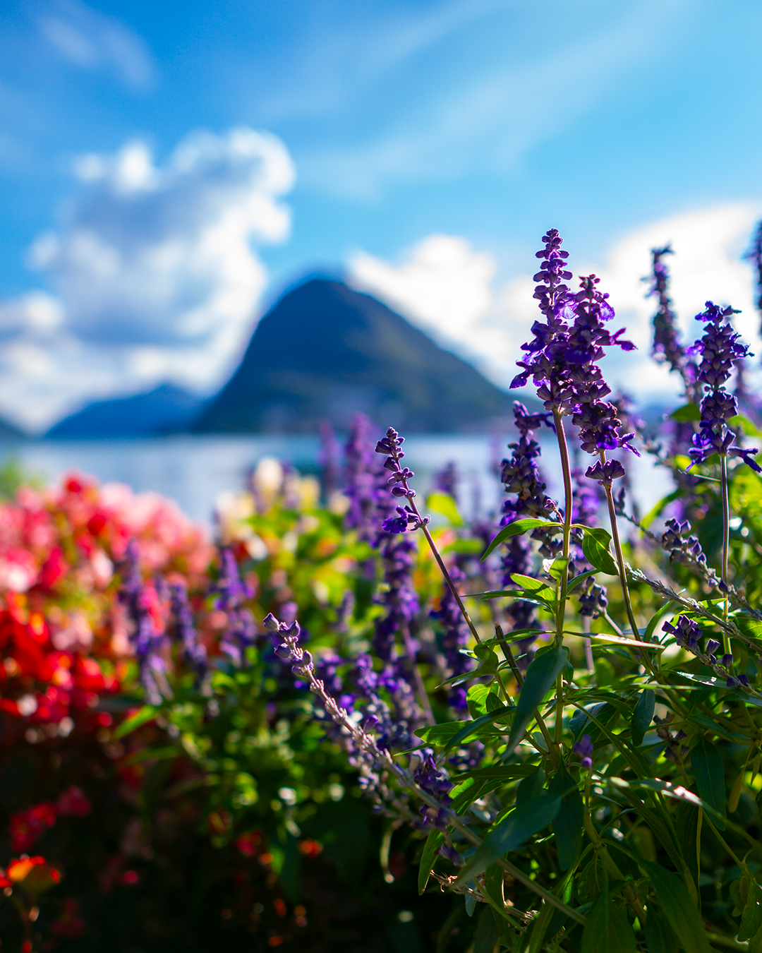 lugano_27-09-20_08-1350px.png