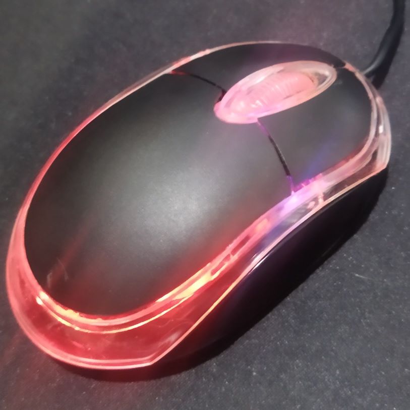 mouse.jpg