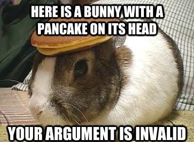 rabbit-with-pancake.jpeg