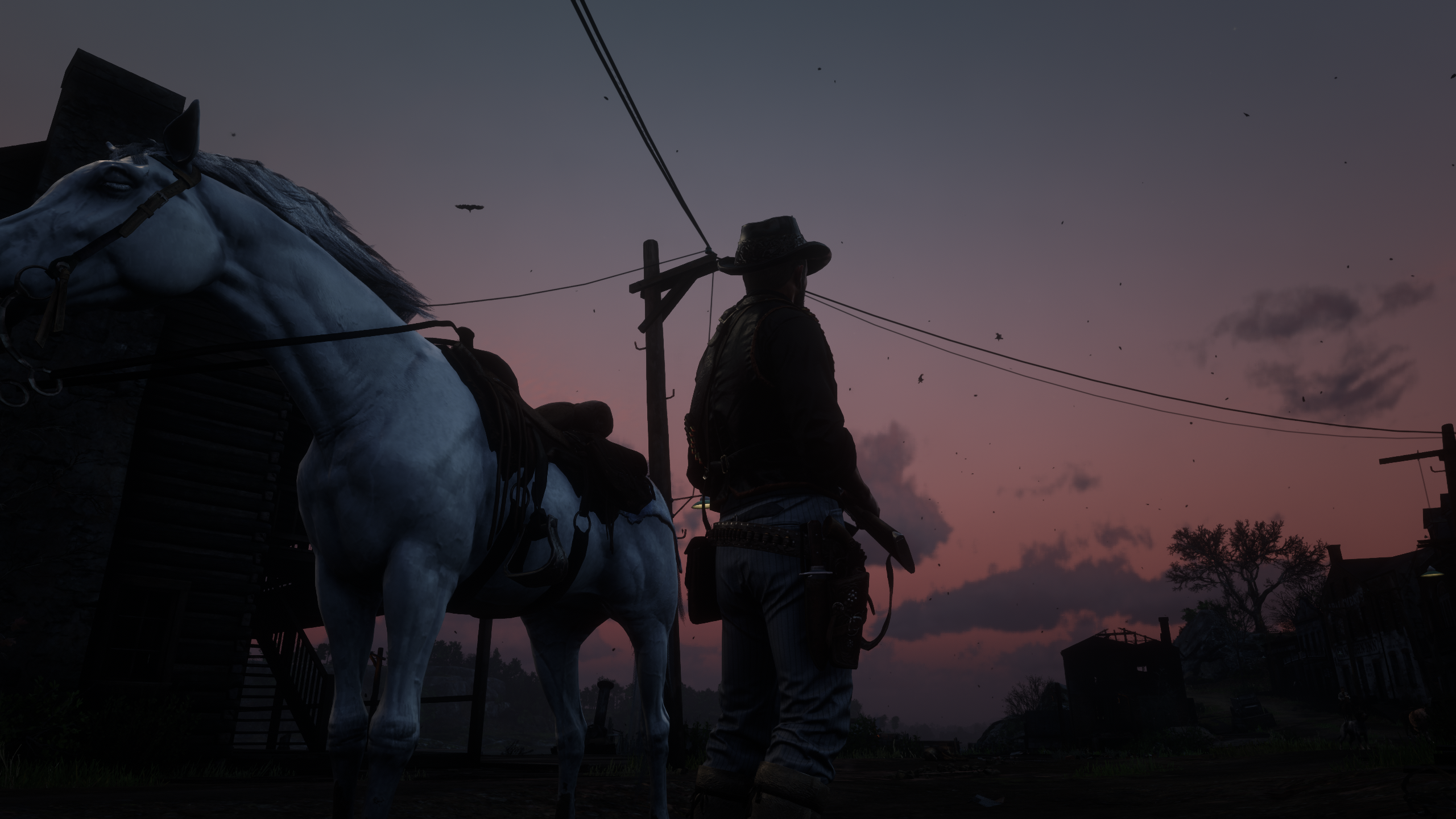 Red Dead Redemption 2 Screenshot 2024.07.07 - 14.56.04.56.png