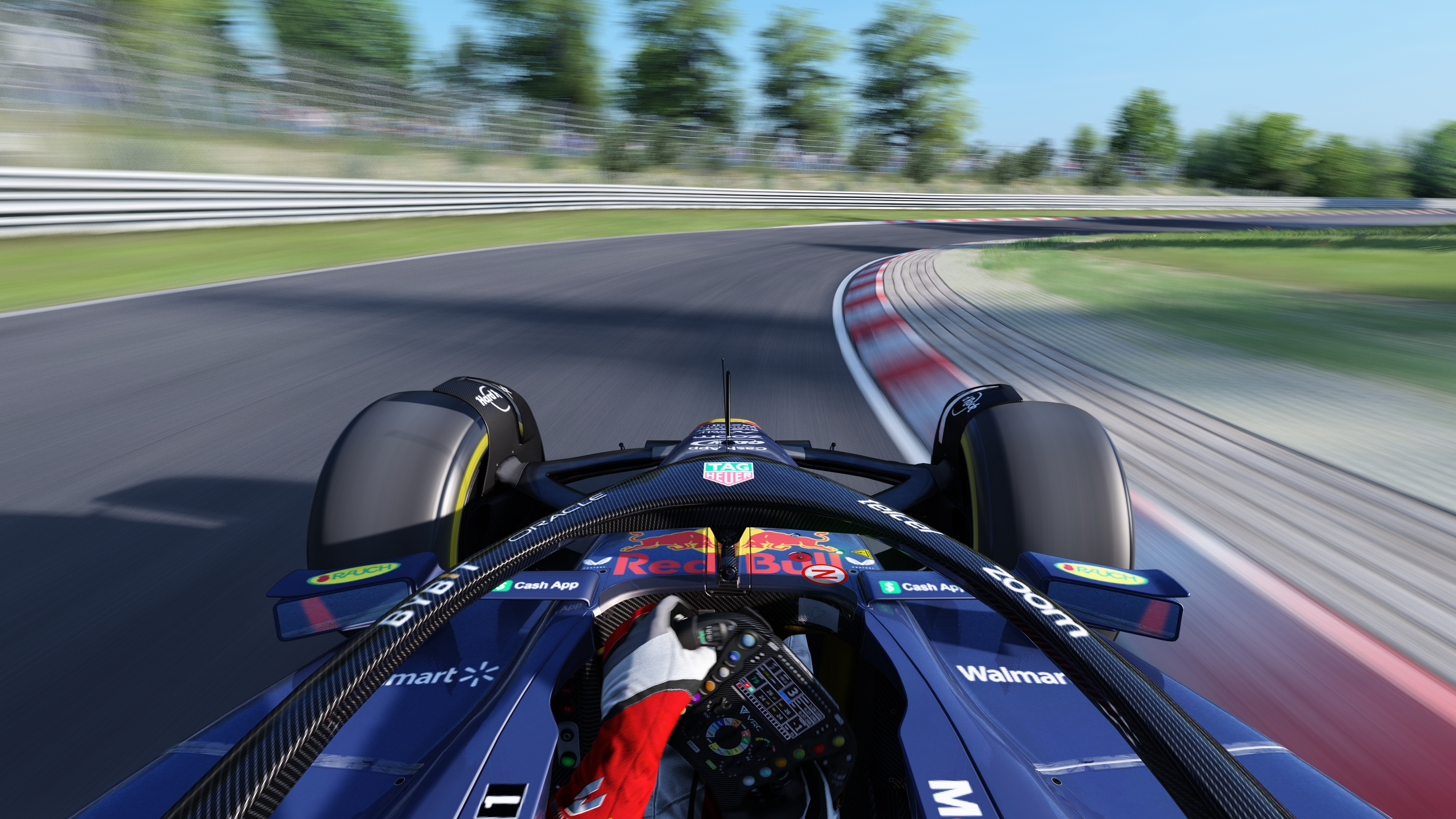 Screenshot_vrc_formula_alpha_2022_ks_nordschleife_21-6-123-13-32-55.jpg