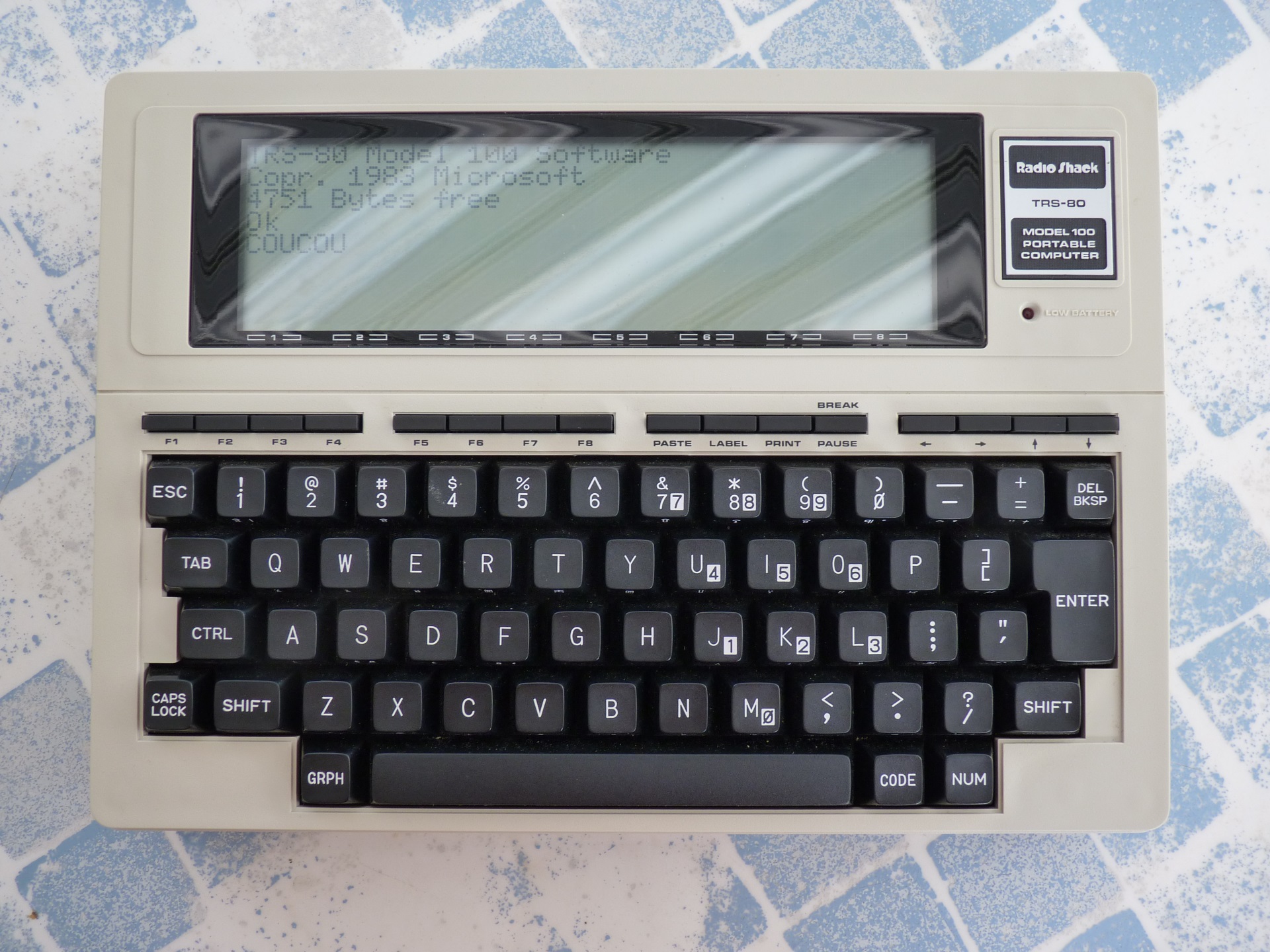 tandy01.jpg