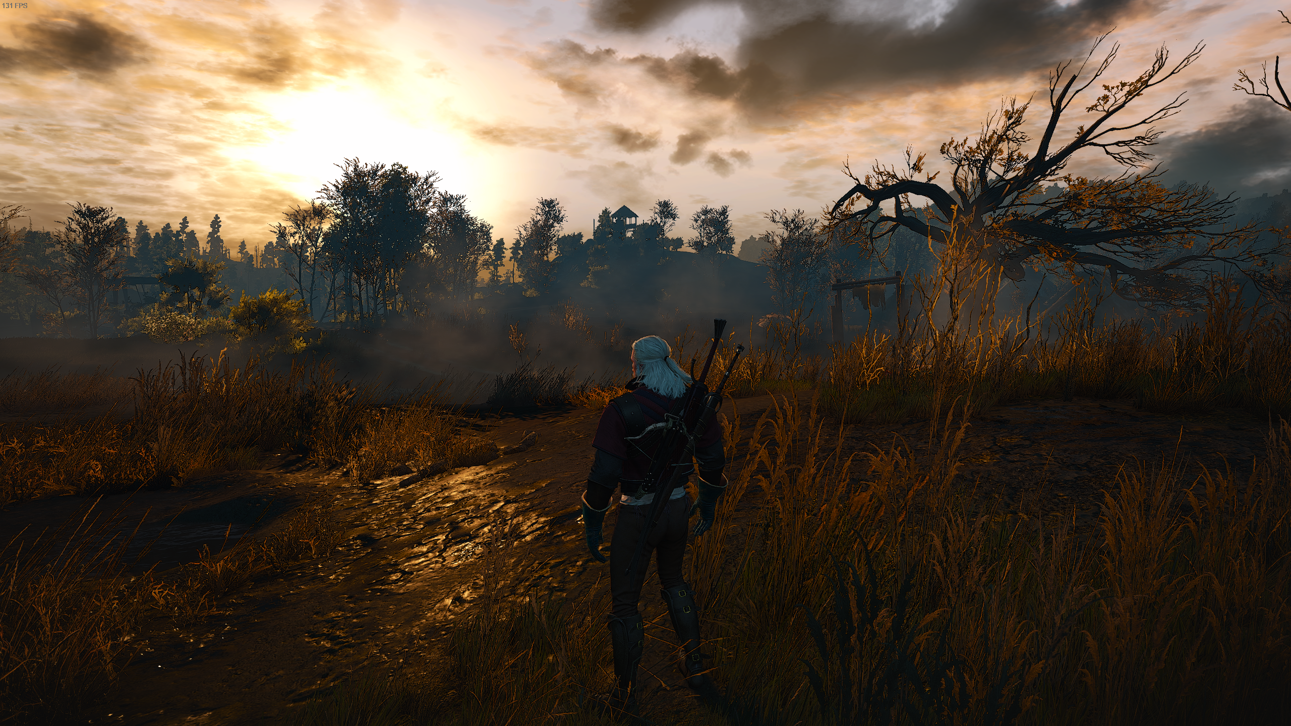 The Witcher 3 Screenshot 2019.12.03 - 23.00.08.58.png