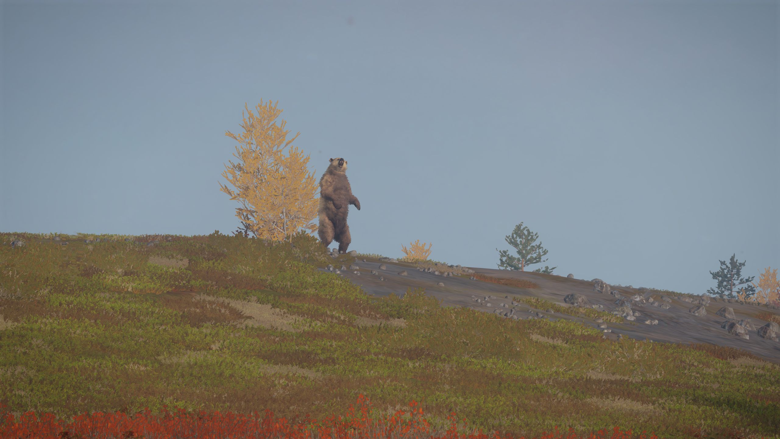 theHunter_Screenshot_2024-03-19_22_32_10.jpg