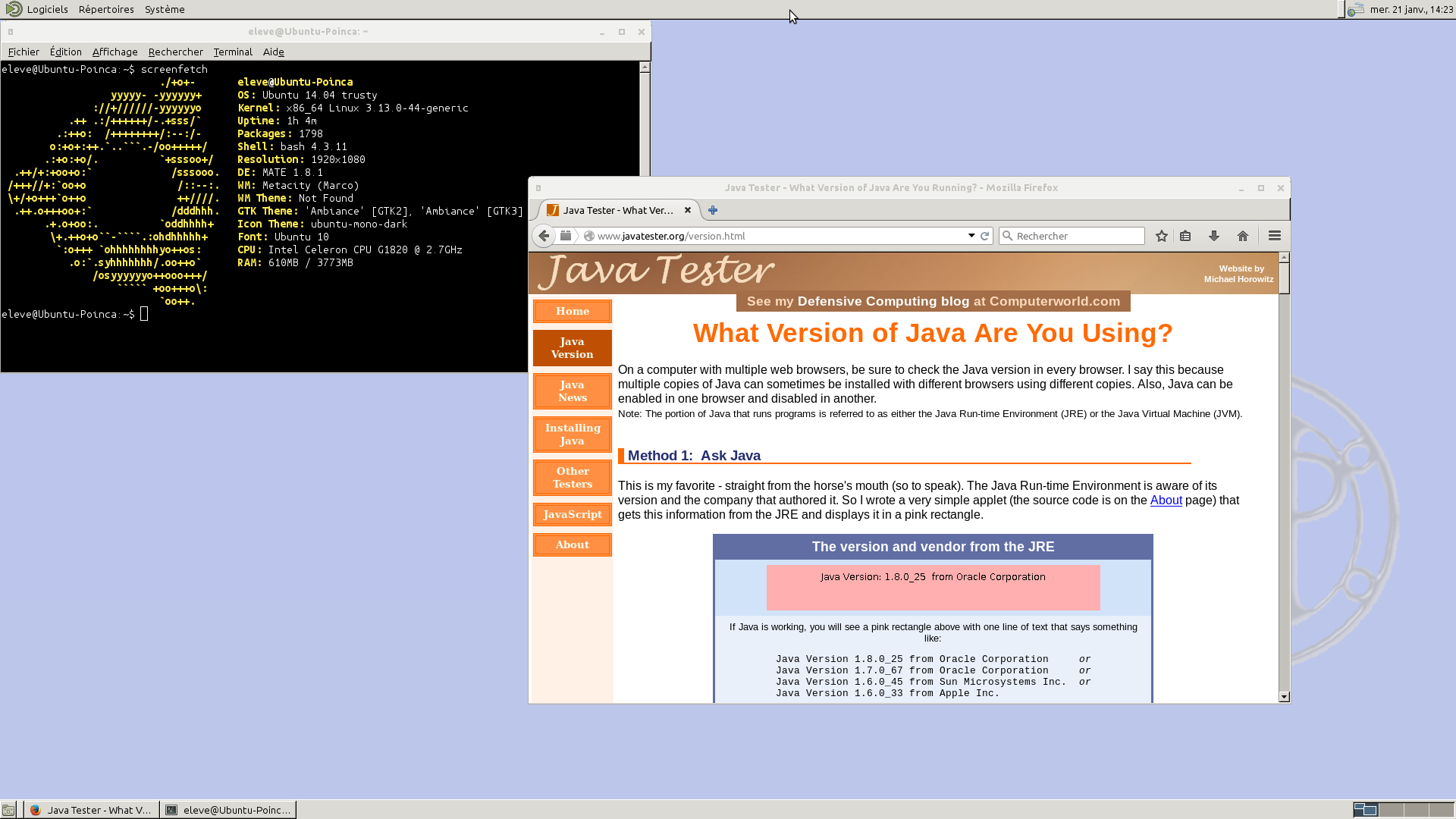 Java works. Reactos. Mikrotik os. Reactos Live CD. MIRC Linux.