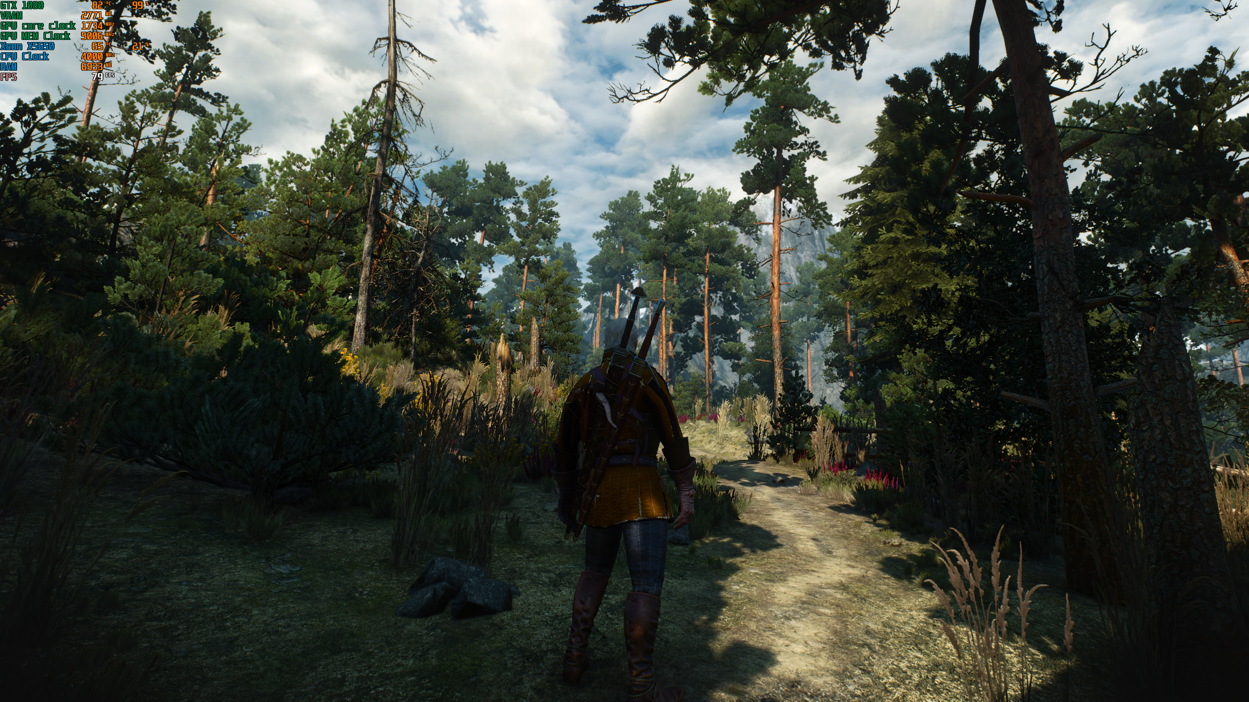 witcher3_2020_02_03_22_30_50_952.png