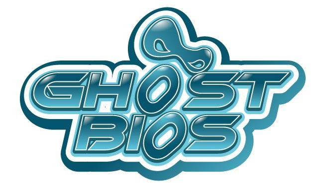 Д р у з е й. Ghost BIOS.