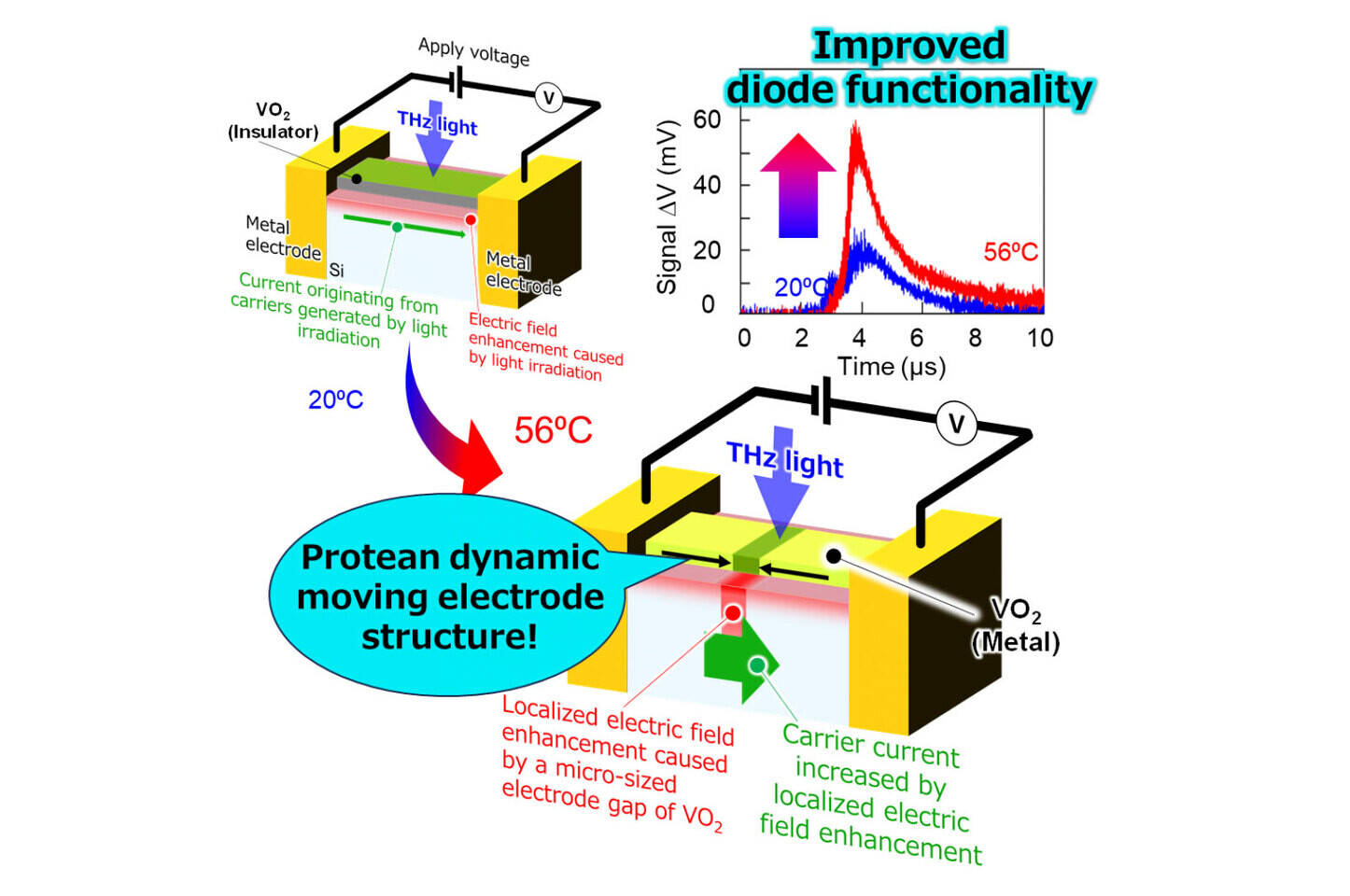 Osaka Scientists Unveil 'Living' Electrodes That Can Enhance Silicon Devices