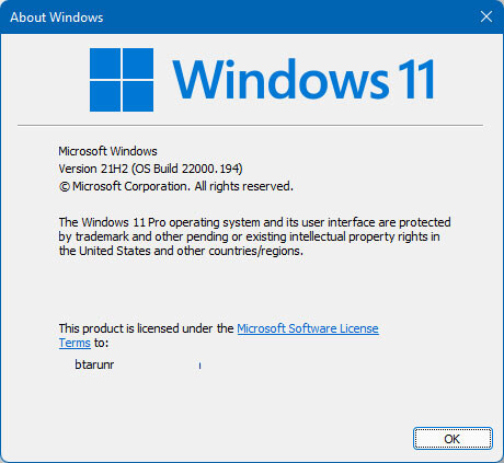 New Windows 11 install script bypasses TPM, system requirements
