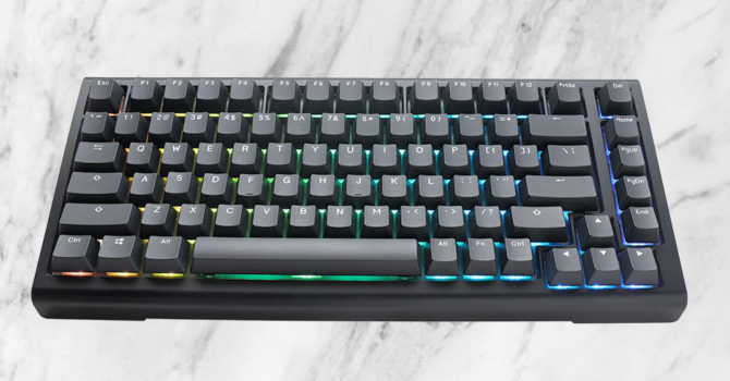 Ducky ProjectD Tinker 75 Mechanical Keyboard Review | TechPowerUp